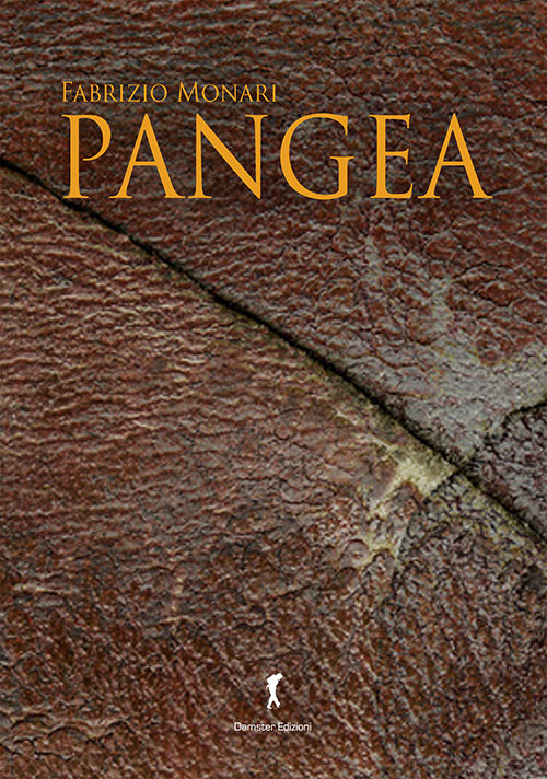 PANGEA. EVOLUZIONE